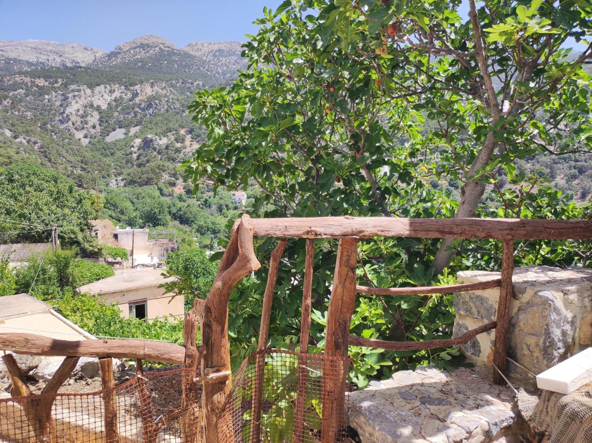 Kato Symi House Villa Kato Simi Exteriör bild